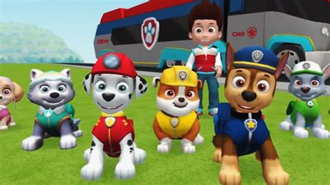 paw patrol cartoons|free cartoons paw patrol.